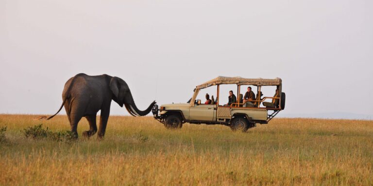 10 Most famous big game safari